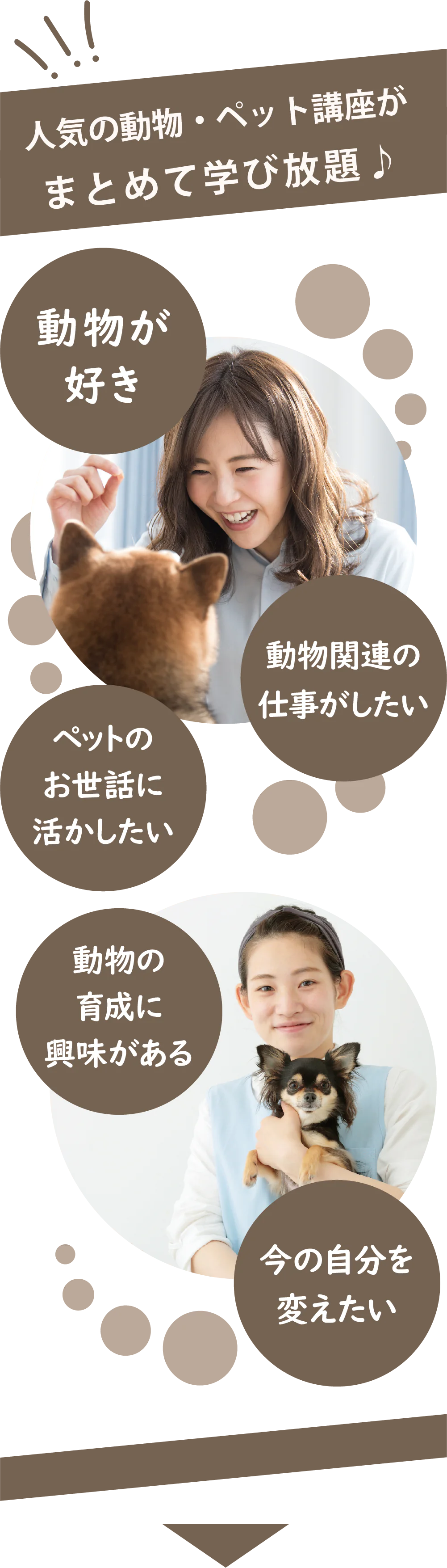 人気の動物・ペット講座がまとめて学び放題♪ 動物が好き 動物関連の仕事がしたい ペットのお世話に活かしたい 動物の育成に興味がある 今の自分を変えたい