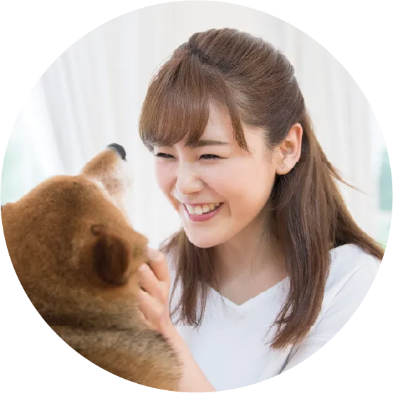 ドッグトレーニング講座