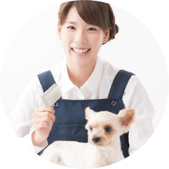 ペットトリミング講座