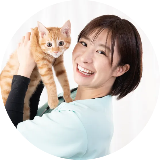 犬猫介護講座