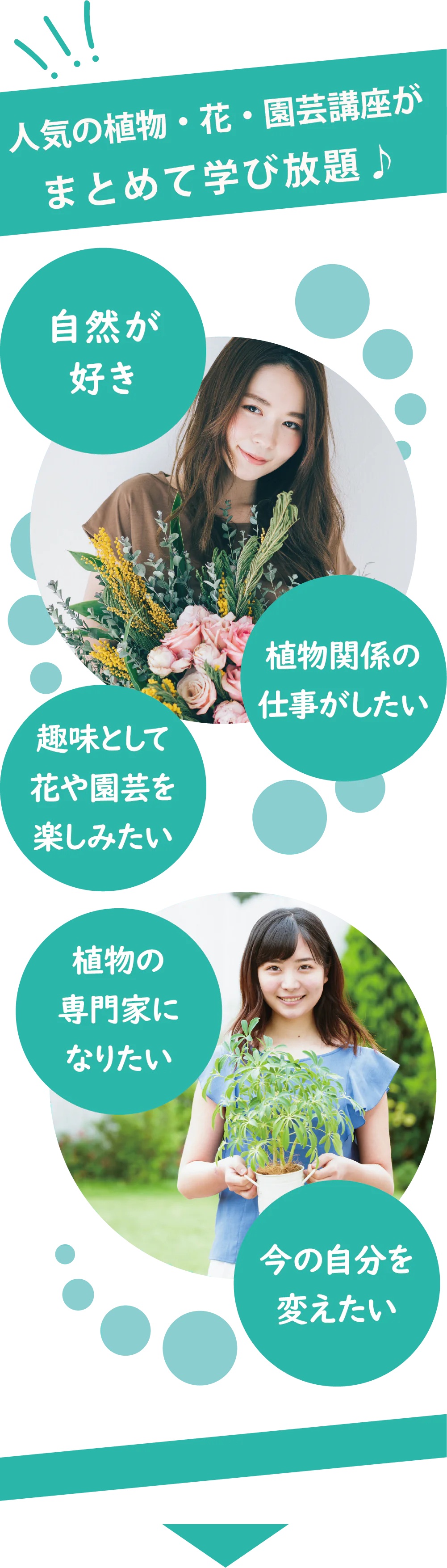 人気の植物・花・園芸講座がまとめて学び放題♪ 自然が好き 植物関係の仕事がしたい 趣味として花や園芸を楽しみたい 植物の専門家になりたい 今の自分を変えたい